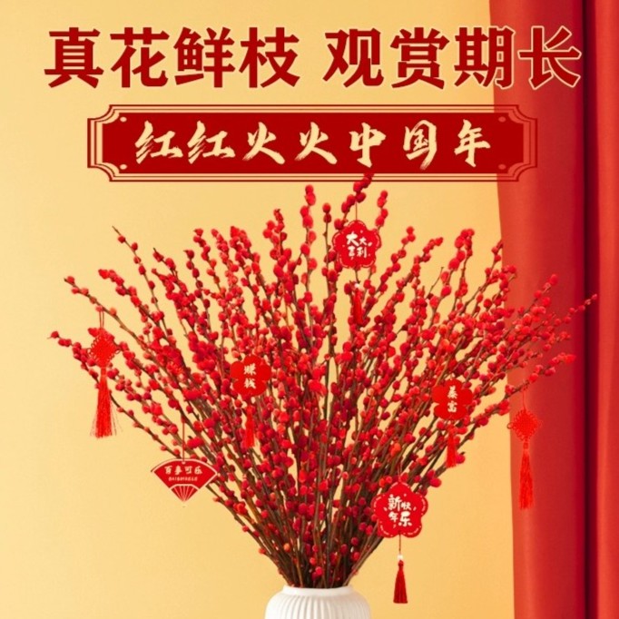 银柳真花鲜枝雪柳干枝水养喜庆福桶干花摆件年宵花卉植物室内花束