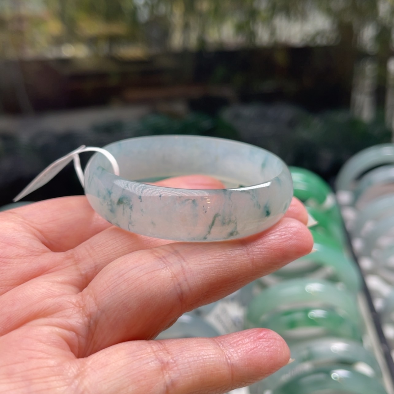 【闪购商品】翡翠手镯未镶嵌樱**?50.5正圈