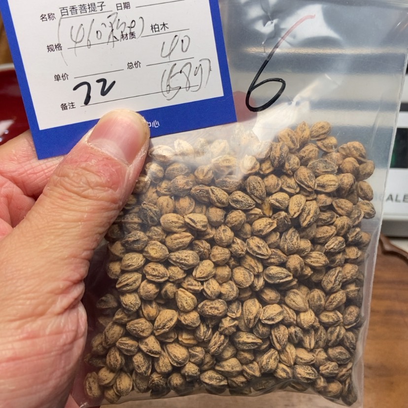 【闪购商品】柏香籽/百香籽吊坠昔*、