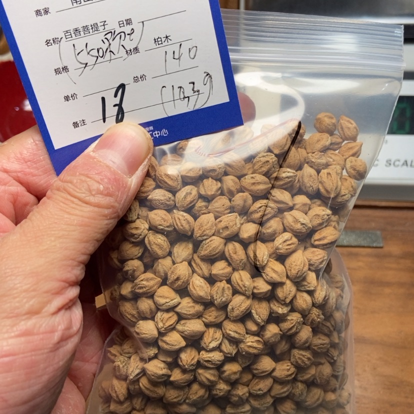【闪购商品】柏香籽/百香籽吊坠幸****?