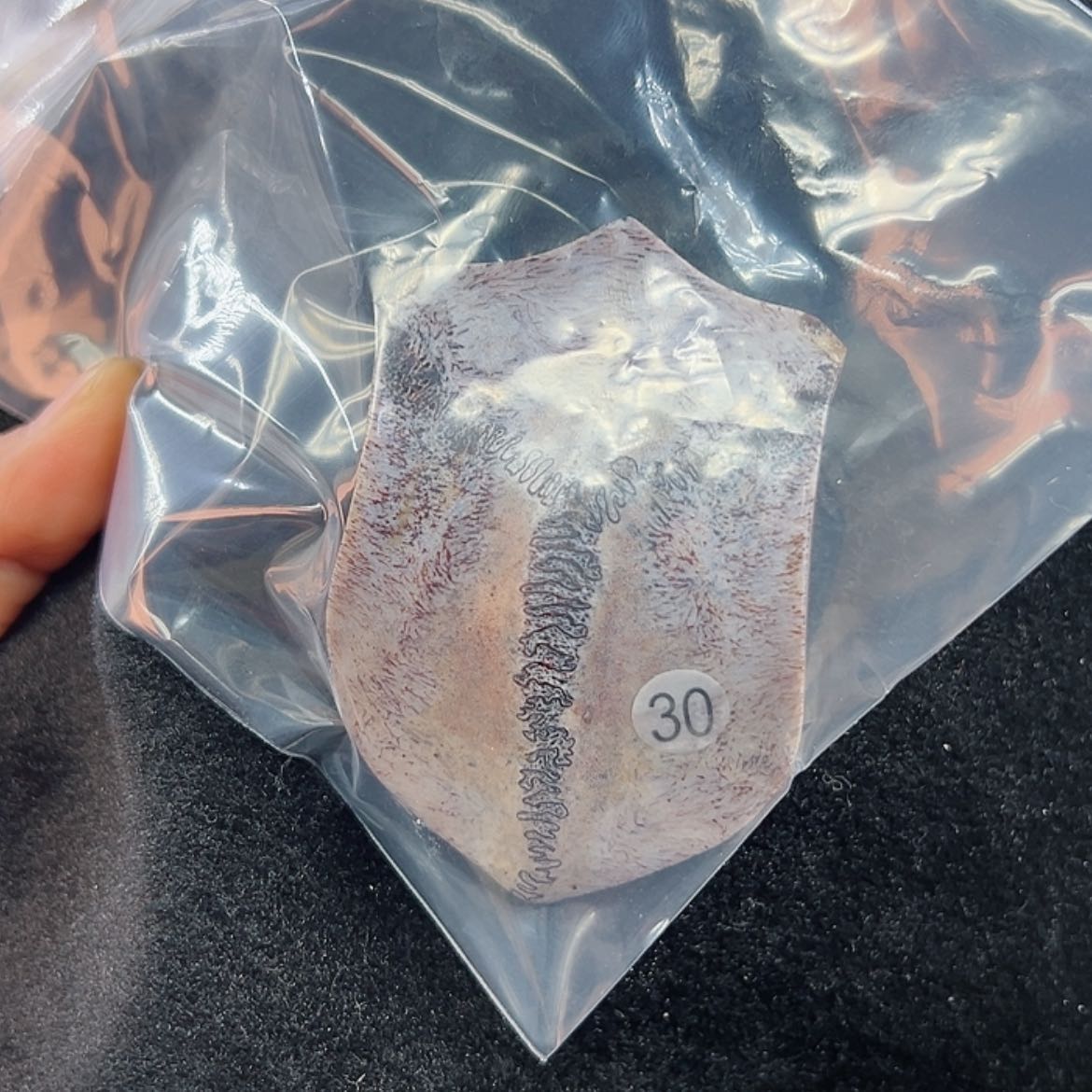 【闪购商品】鹿骨吊坠伟***手