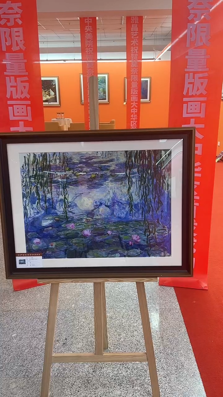 【闪购商品】绘画19睡莲