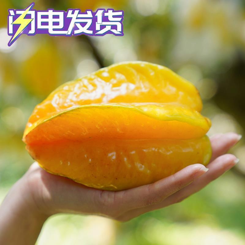 【现摘现发】甜杨桃水果杨桃新鲜降火水果应季水果杨桃解渴清甜果