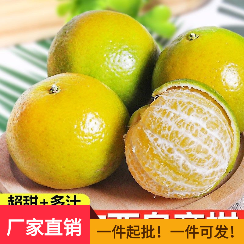 正宗广西皇帝柑沃柑新鲜水果贡柑带箱子砂糖桔沃柑橘子蜜桔子成熟