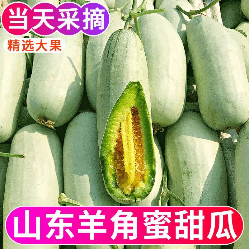 【新鲜爆汁】正宗羊角蜜甜瓜当季新鲜头茬孕妇水果香甜瓜鲜脆美味