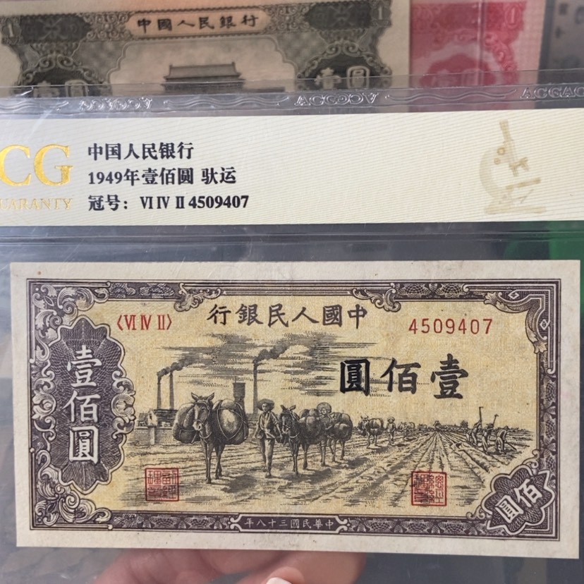 【闪购商品】西****）驮运： 407