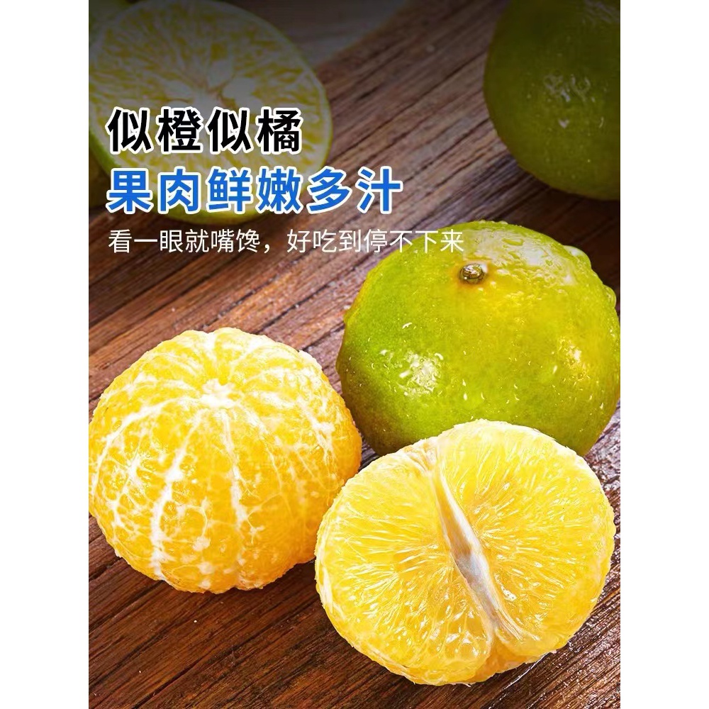 广西武鸣皇帝柑大果砂糖蜜橘桔沃贡柑整箱批发清甜新鲜水果包邮箱