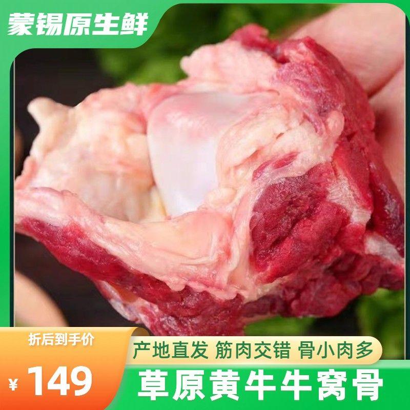 牛窝骨新鲜正宗内蒙古草原散养黄牛肉牛筋特级冷冻牛膝盖骨筋营养