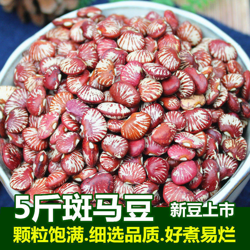 斑马豆新鲜肾豆花江豆神豆农家荷包豆豆紫花红豆红芸豆煲汤豆米