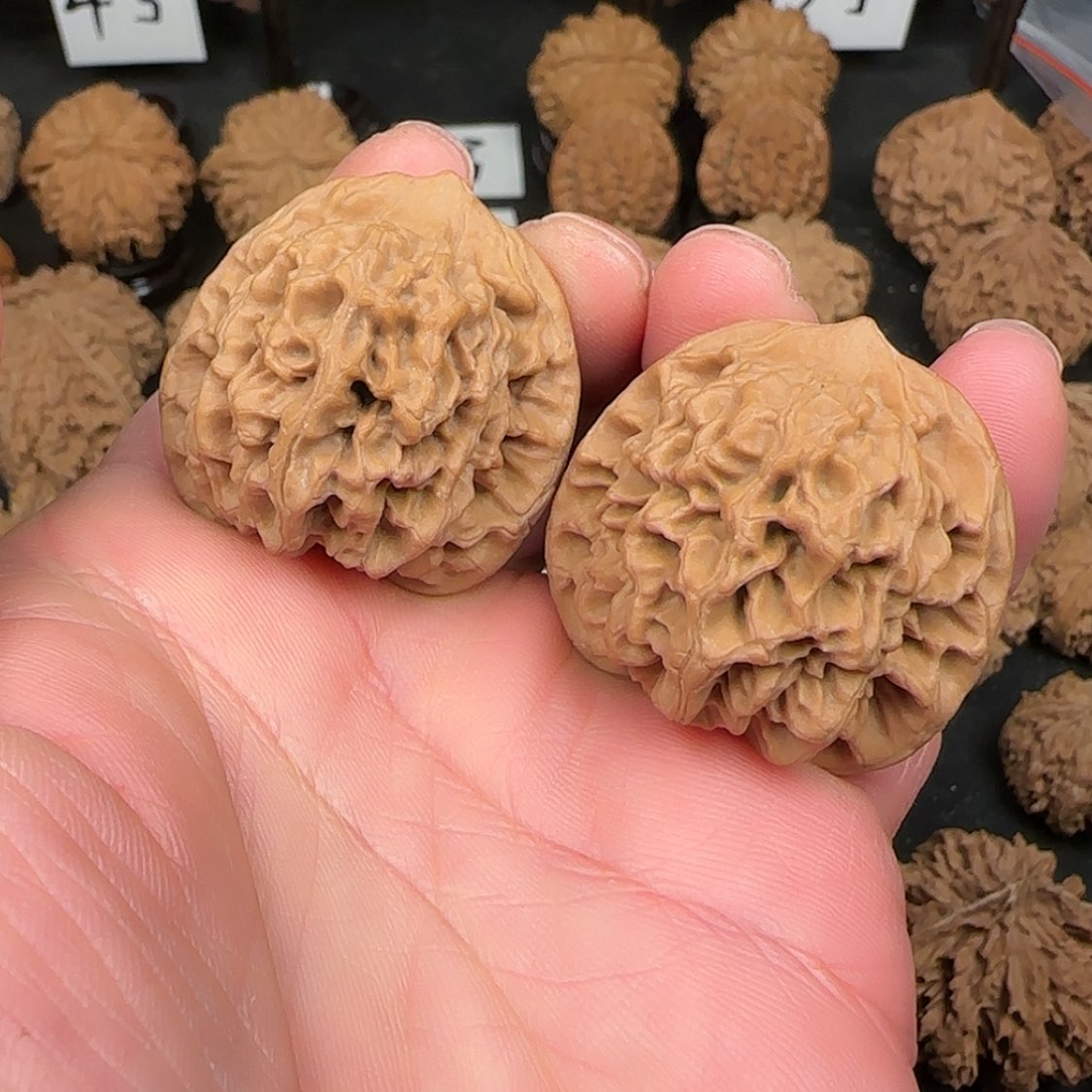 【闪购商品】文玩核桃把件一***猫秦闷