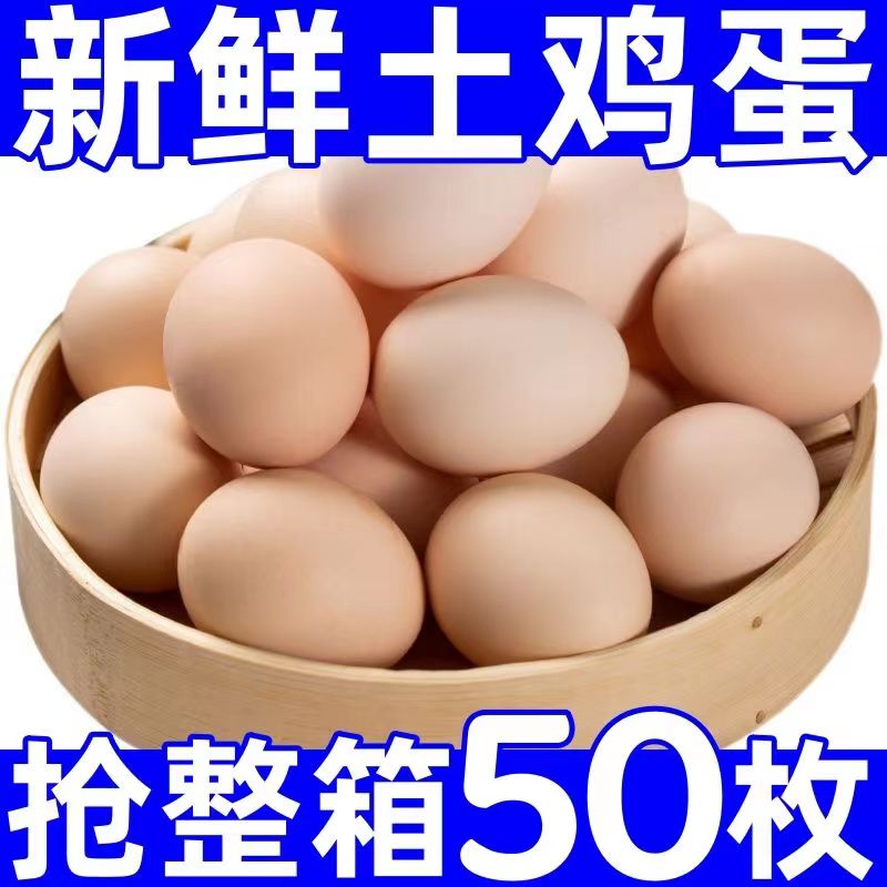 新鲜土鸡蛋50枚新鲜柴鸡蛋笨鸡蛋林间散养五谷草鸡蛋营养喂养 4枚