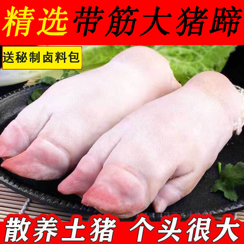 【大号猪蹄】散养新鲜农家土猪猪蹄生新鲜冷冻猪爪子猪手前蹄带筋