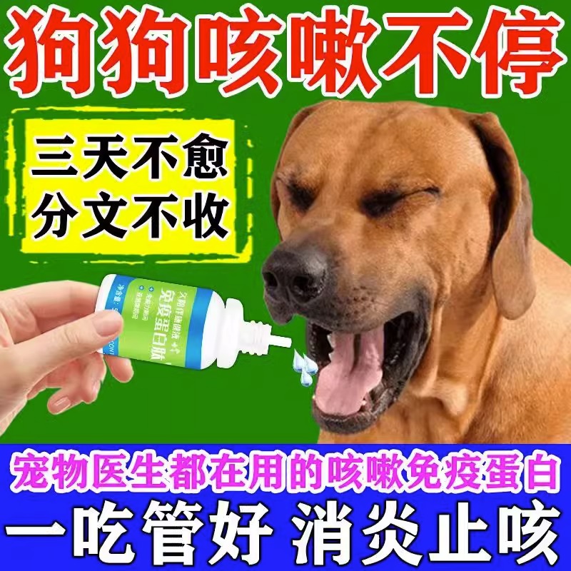 犬窝咳特效狗狗感冒发烧咳嗽干呕流鼻涕小狗猫咪宠物止咳平喘