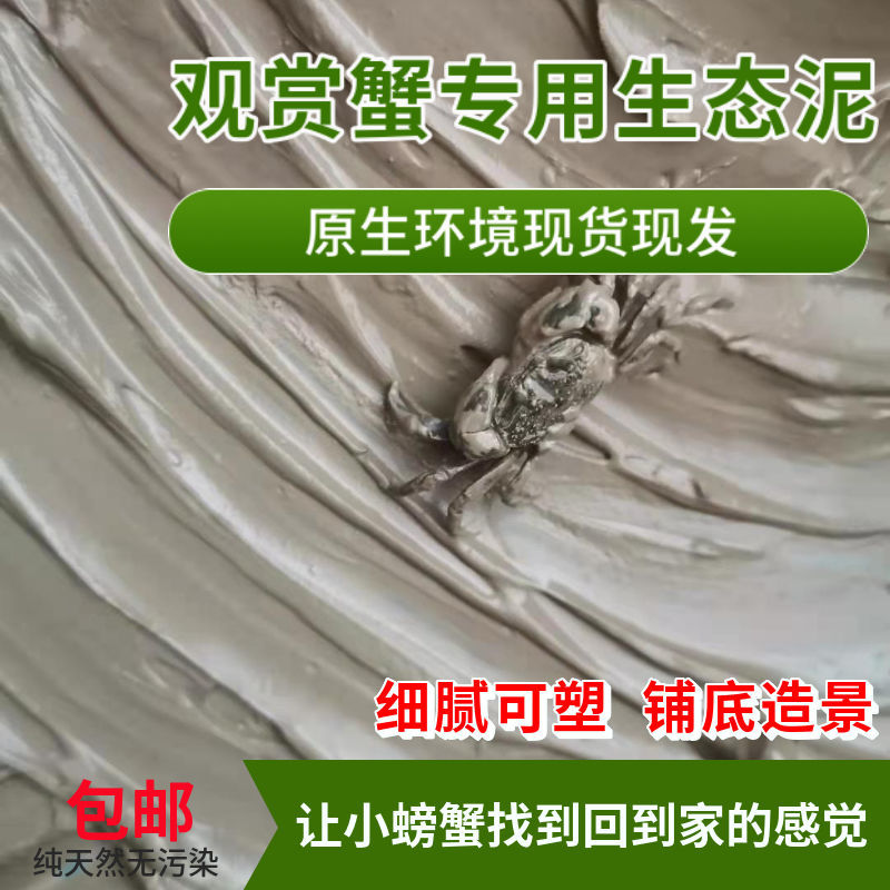 辣椒蟹观赏蟹小螃蟹铺底造景生态泥泥巴河泥打洞微景观造景用品