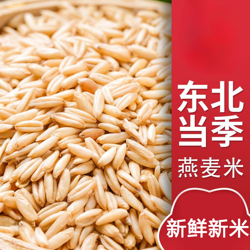 新货燕麦米东北燕麦仁燕麦雀麦粒燕麦粒燕麦粗粮饱满煮粥熬粥食用