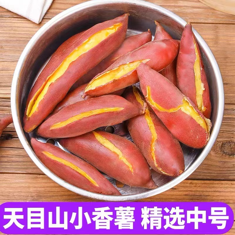 【小君】临安天目山小香薯小番薯新鲜红薯正宗地瓜山芋黄心农产品现