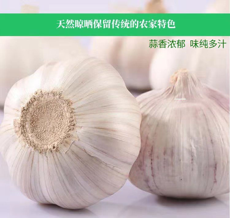 【小君】6cm特大干大蒜头低价包邮农家自种土蒜干蒜紫皮白皮大蒜大