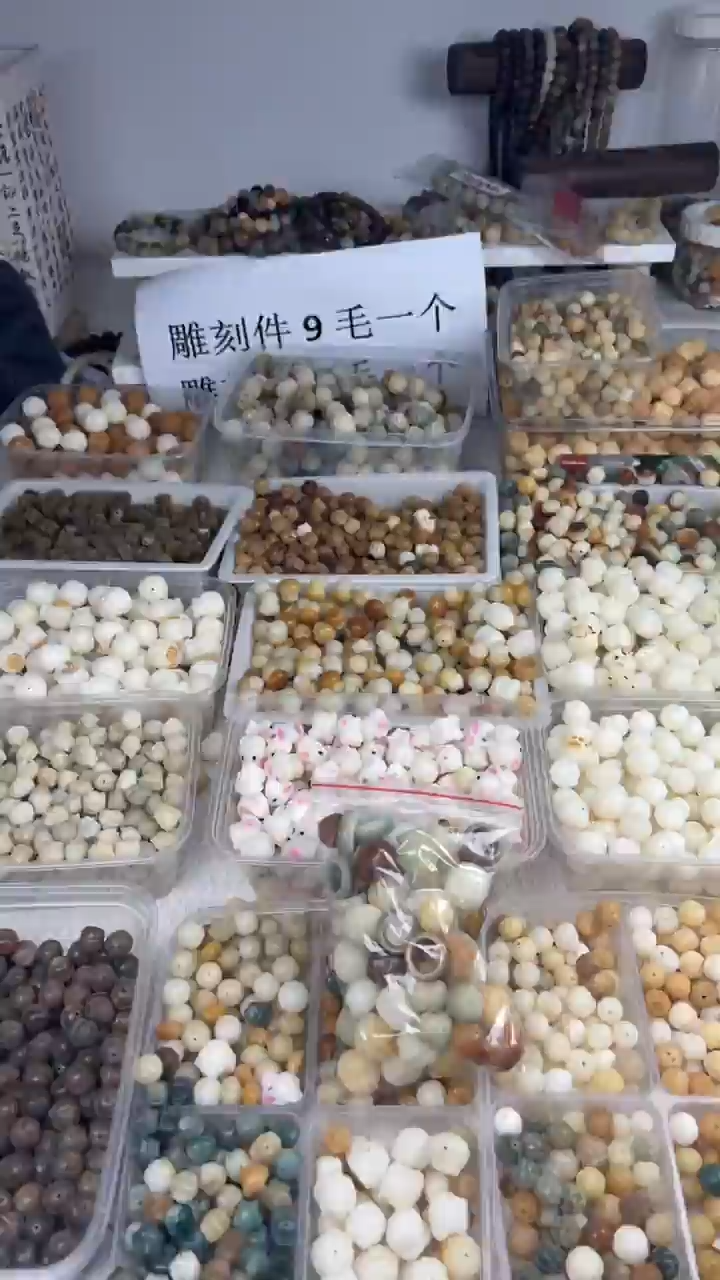 【闪购商品】菩提根/象牙果吊坠流苏跑环12个