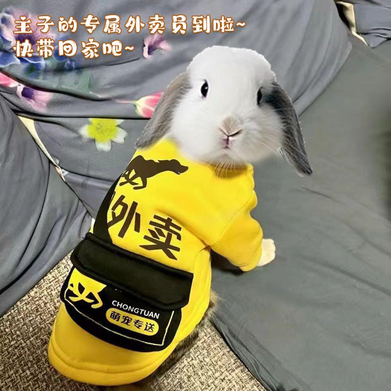 兔子宠物衣服专用秋天保暖的小衣服小侏儒兔垂耳兔过冬穿的衣服