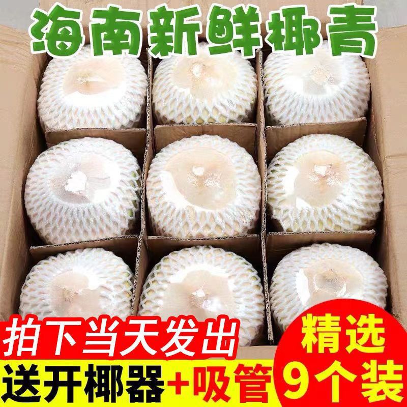 【小徐】椰青海南特产椰子新鲜水果孕妇椰皇毛椰榨椰汁椰肉/大果