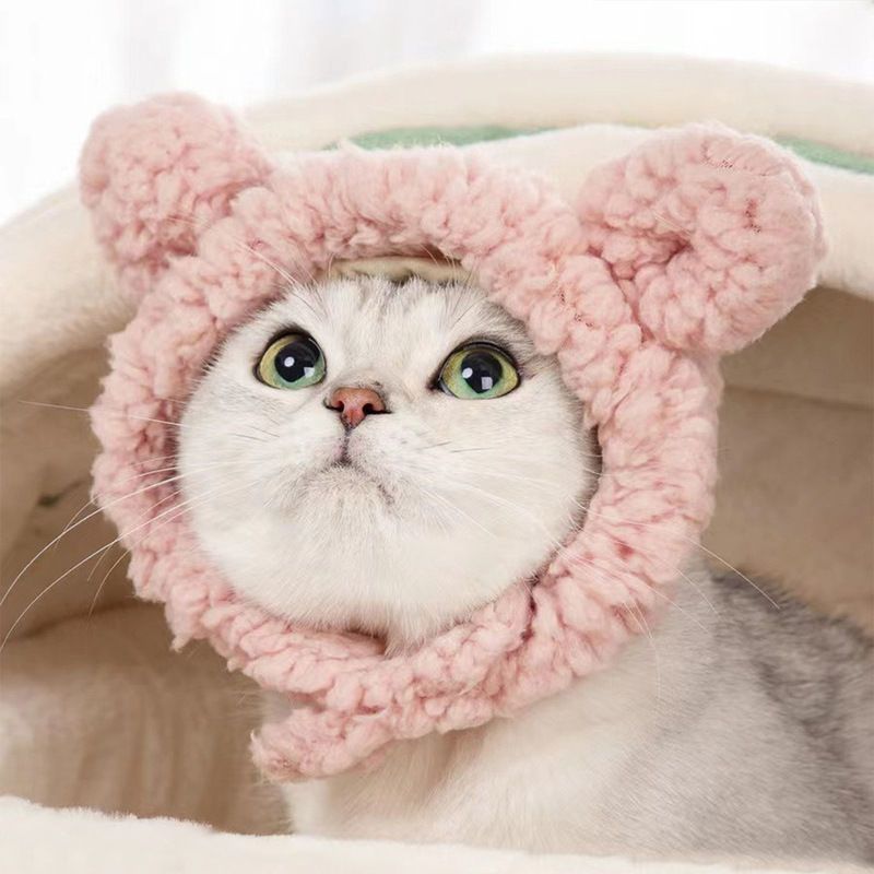 猫咪帽子头套泰迪博美法斗小狗抖音搞笑帽子宠物狗狗帽子头饰用品