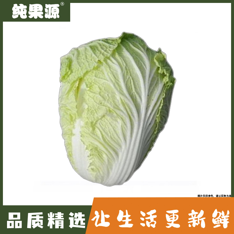 【纯果源】大白菜5-6斤