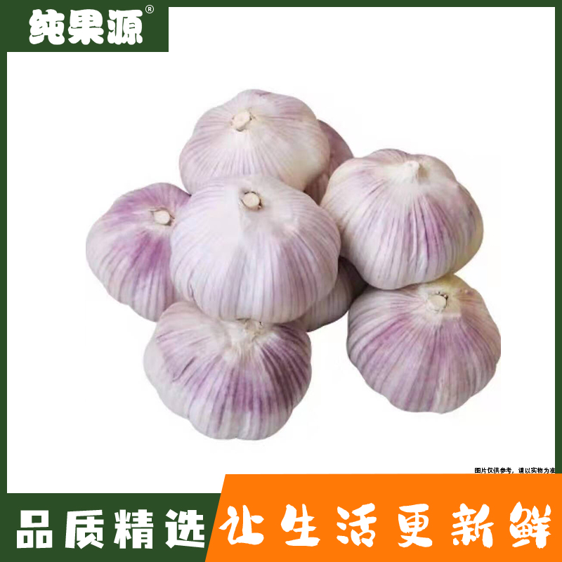 【纯果源】一级大蒜 约500g