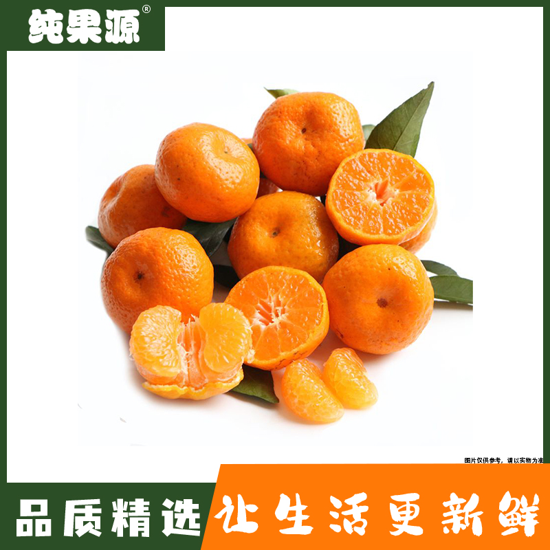 【纯果源】砂糖橘 约500g