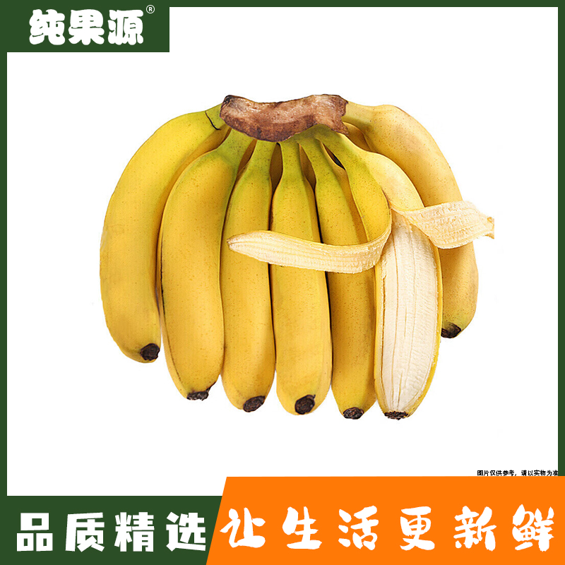 【纯果源】进口香蕉 500g±50g