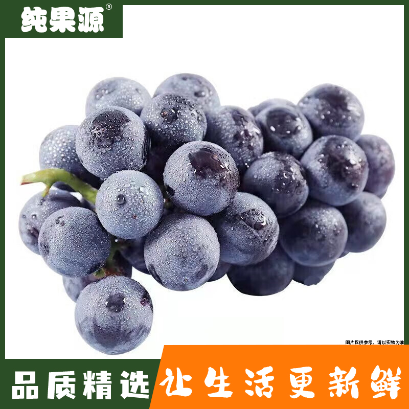 【纯果源】特级巨峰葡萄约600克