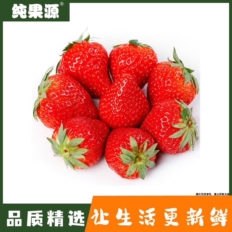 【纯果源】丹东久久草莓约1斤-整板约4.5-4.7斤
