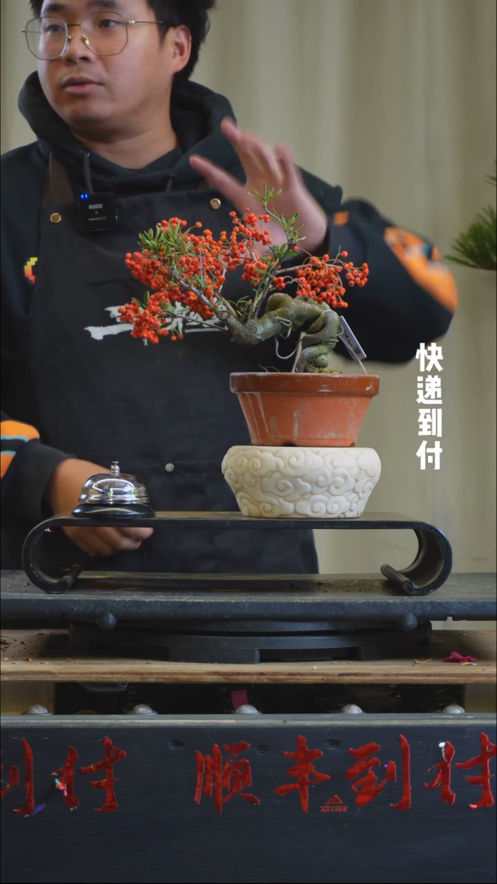 【闪购商品】c916火棘bubaoyou