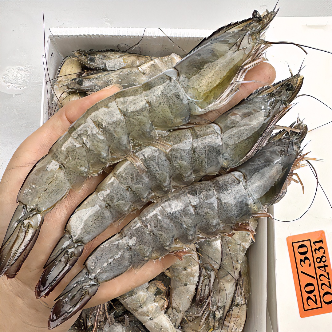 【三盒装】特大号海洋海水大虾20/30规格新鲜活冻鲜甜3.3-3.5斤/盒
