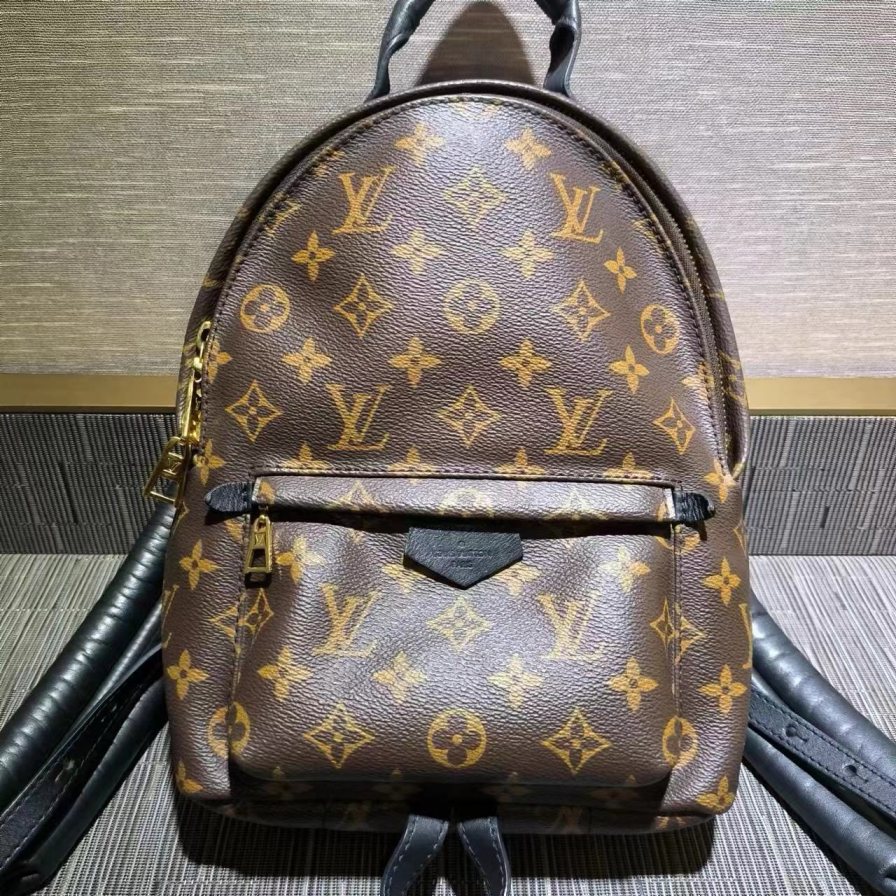 95新 LouisVuitton/路易威登 老花双肩背包661 1747
