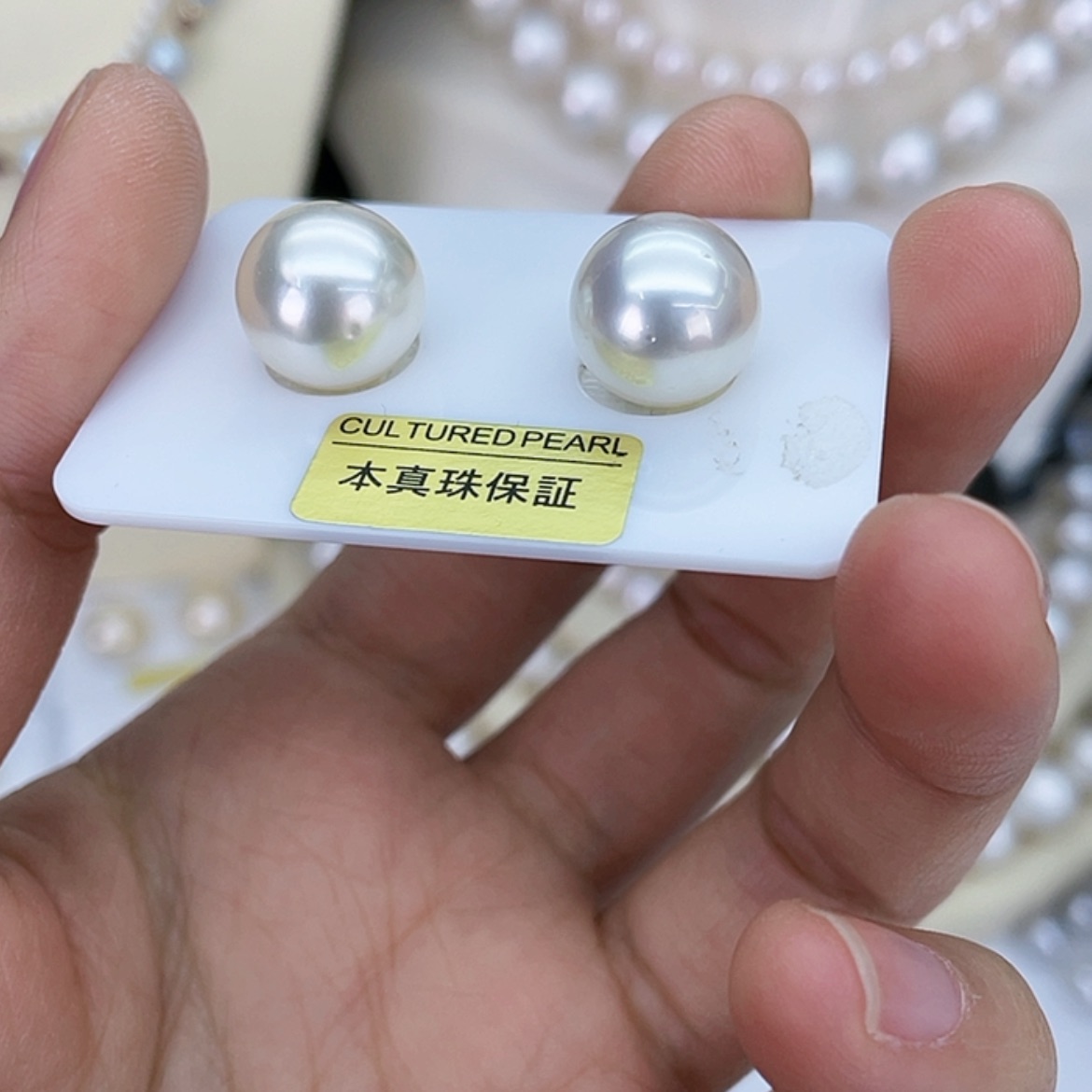 【闪购商品】海水珍珠耳饰未镶嵌黄****_裸珠