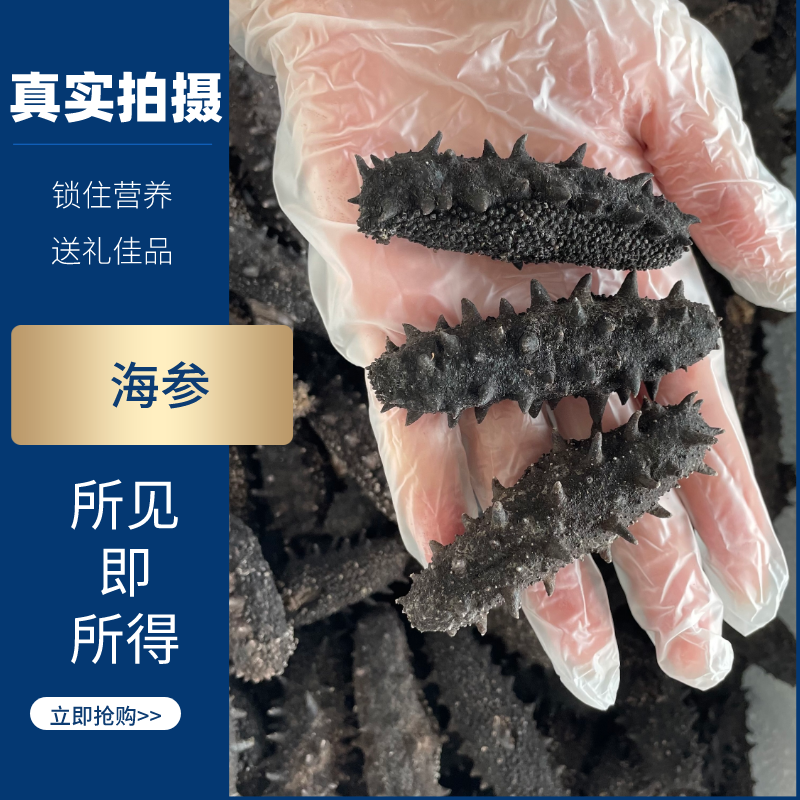 【开播冲量】深海胶东刺参80左右野生海参500克营养蛋白劲道高蛋