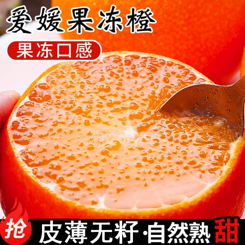 与辉同行东方甄选】四川爱媛38号果冻橙爱媛橙新鲜孕妇水果果香