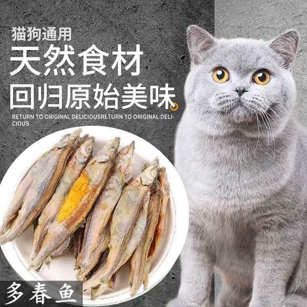 萌宠多春鱼冻干满籽互动奖励小鱼干营养发腮补钙猫零食宠物拌猫粮