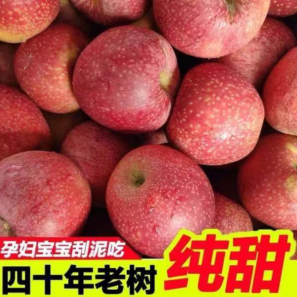 【爆甜】陕西秦冠苹果粉面香甜宝宝刮泥辅食脆粉两吃5斤包邮中
