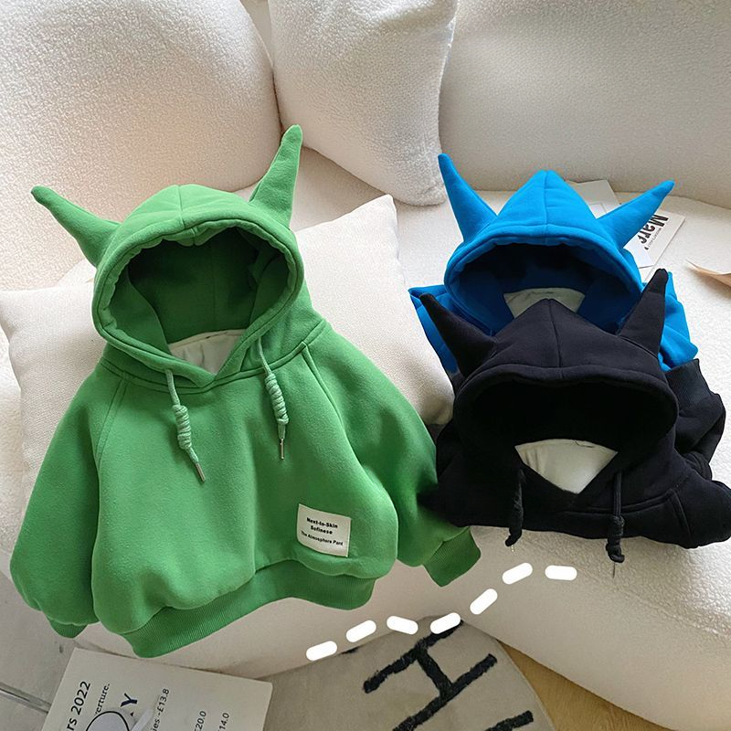 【小扬哥推荐】男童连帽卫衣宝宝冬装2024新款中小童洋气韩版儿童