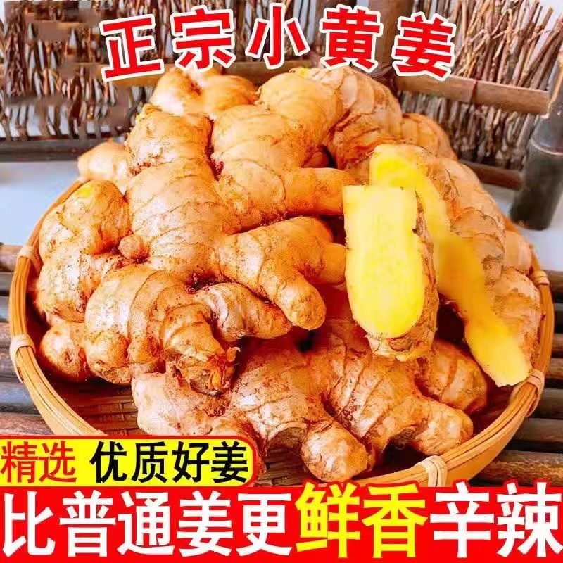 【云山鲜生】正宗云南山地小黄姜香辣老姜现挖现发月子姜1-9斤包邮