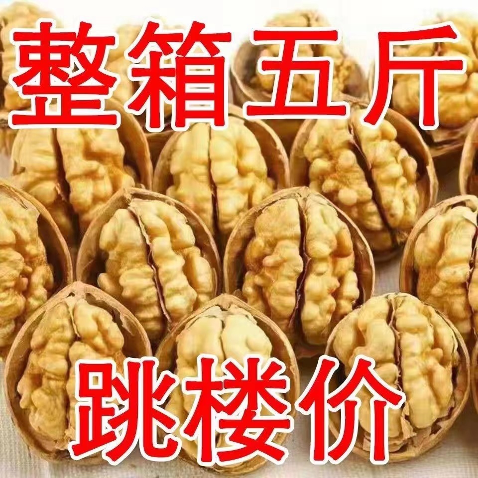 【新货首发】2023新货新疆薄皮核桃大个原味干核桃批发坚果零食