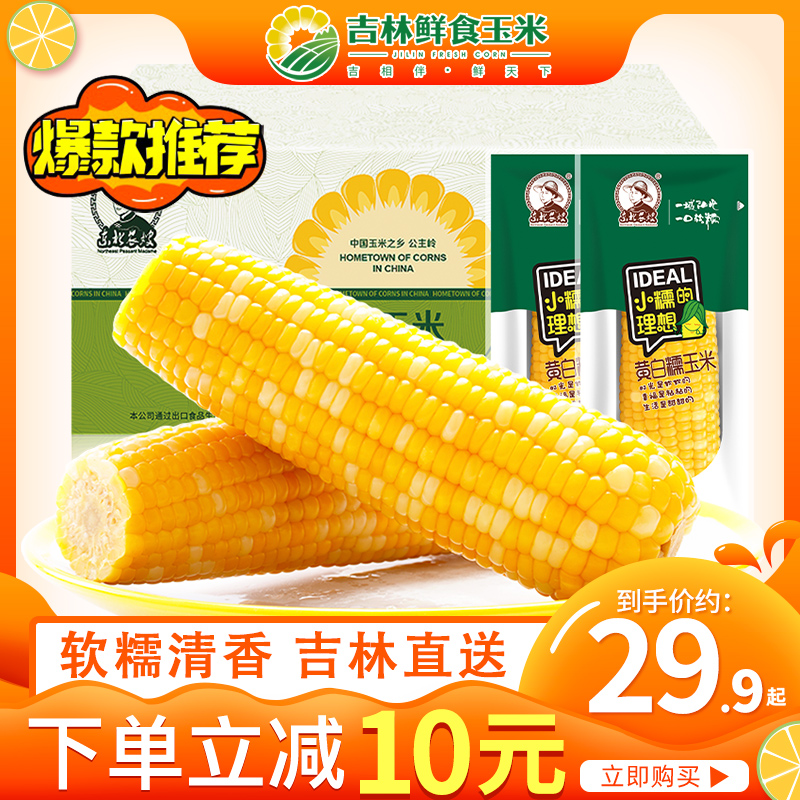东北农嫂200g*8根黄糯香粘玉米软糯玉米棒香糯真空包装