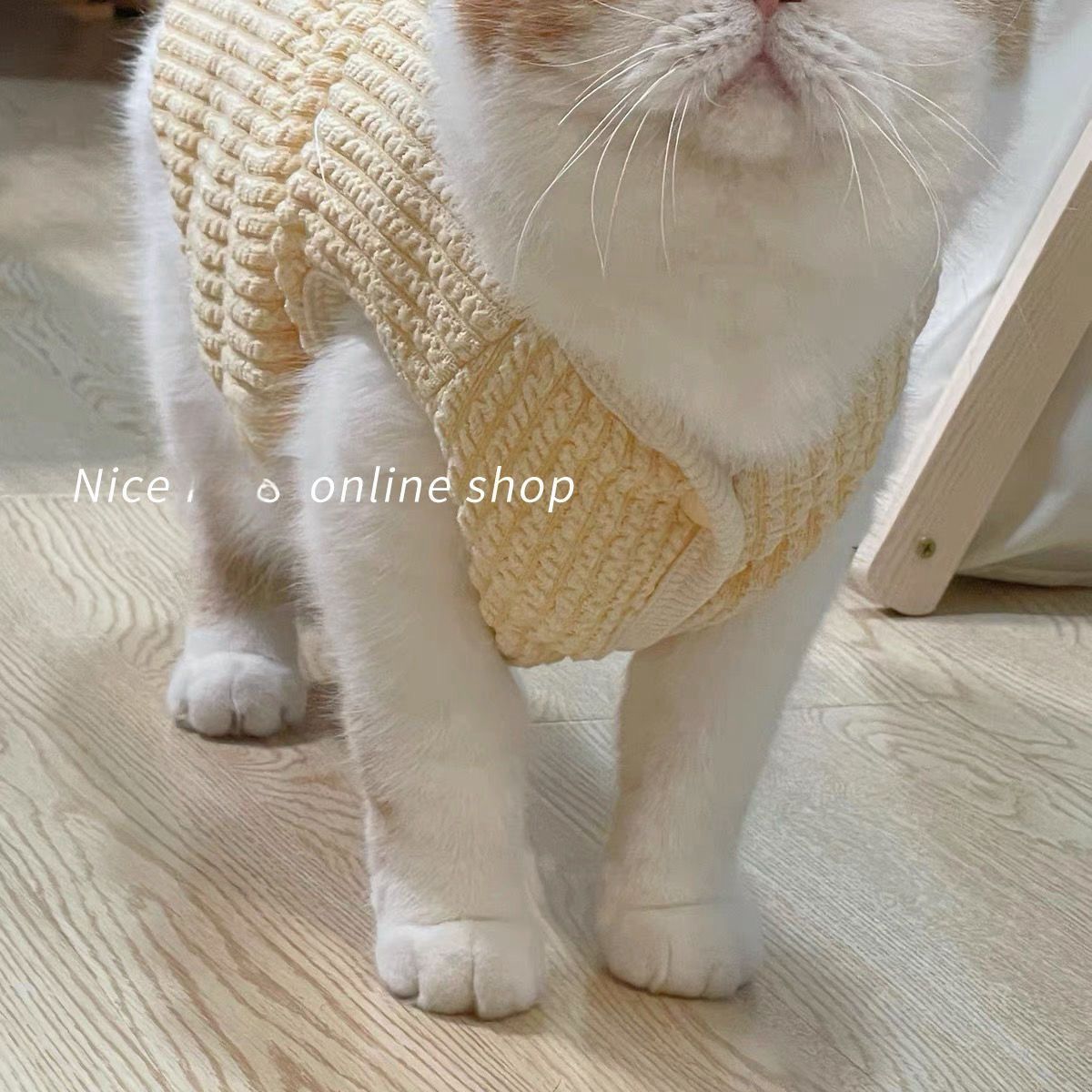 可爱毛线马甲宠物春秋冬薄款猫咪衣服布偶蓝猫狗狗加绒保暖【咪旺】