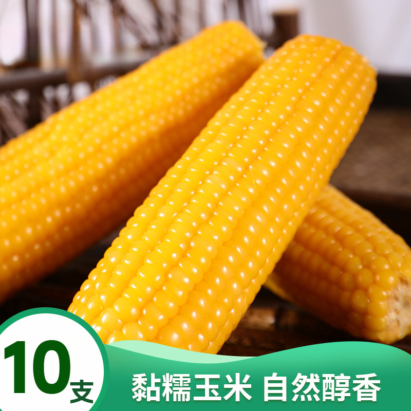 东方优选甄选10棒5斤东北黄糯玉米东北粘苞米棒甜糯玉米真空包装