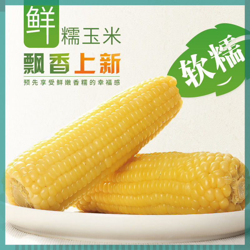 东方㼼选东北糯玉米新鲜采摘香甜黄糯粘玉米棒营养代餐非转基因