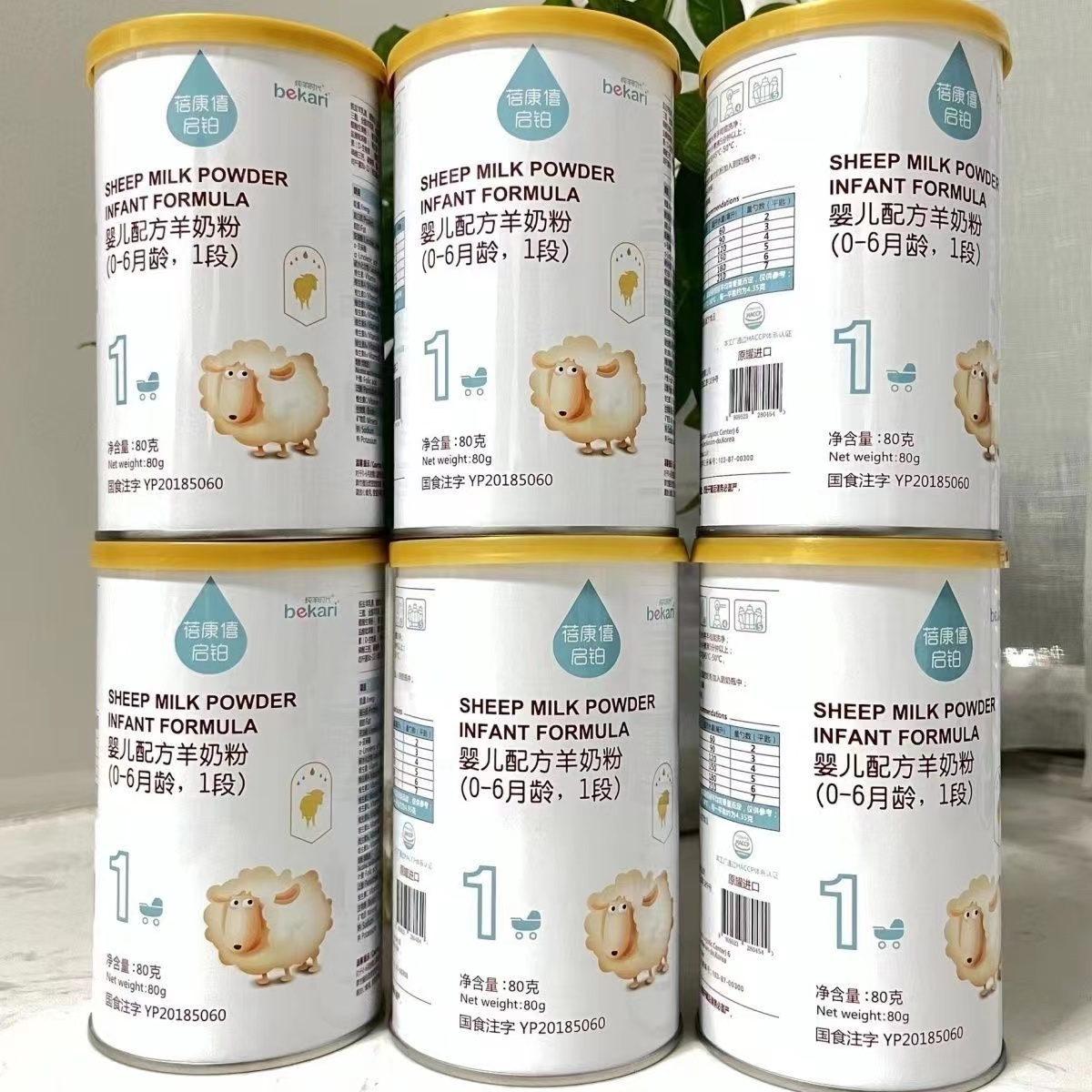 【启铂】正品保障80g组合罐装绵羊奶旗舰正品