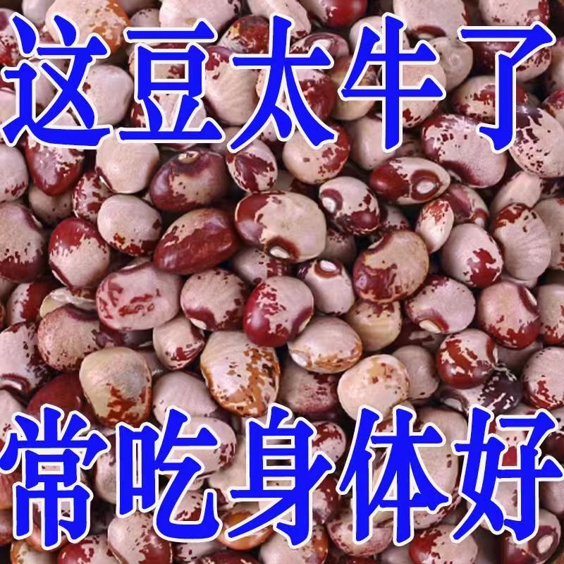 【妙刹 5 斤】云南熊猫豆新货农家新鲜饭豆花豆批发五谷杂粮猫眼豆