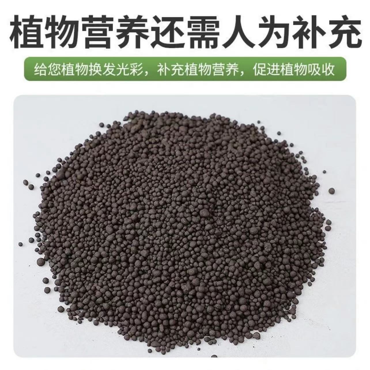 草莓苗专用肥料室内外盆栽地栽好养易活