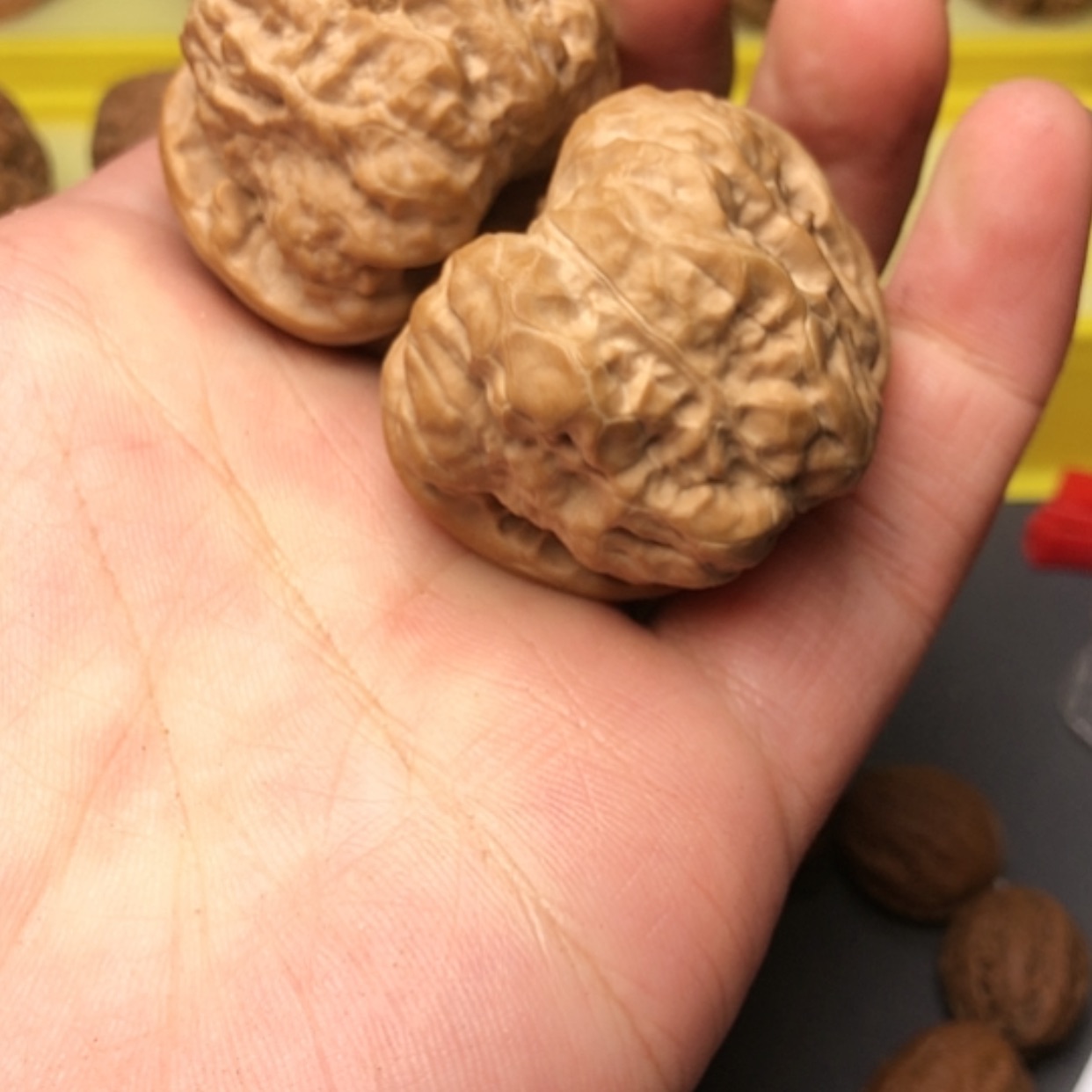 【闪购商品】核桃核雕h*s